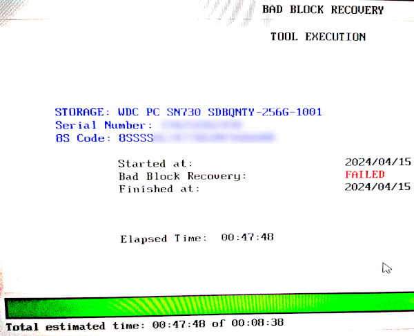 Image: Bad Block Recovery tool's summary for my disk